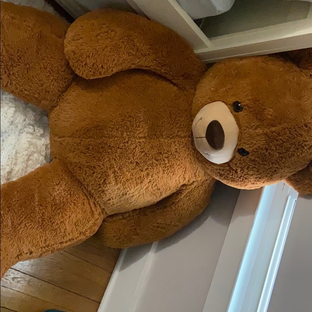 Giant teddy bear